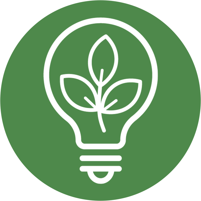 bulb leaf icon